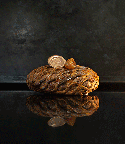 Un début d’année gourmand